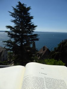 Bible ouverte au livre de Job, avec vue sur un cèdre et un lac à l'arrière plan